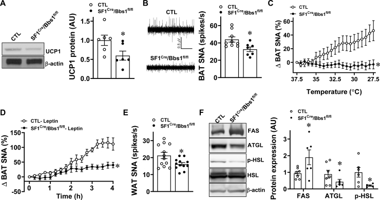 Figure 5