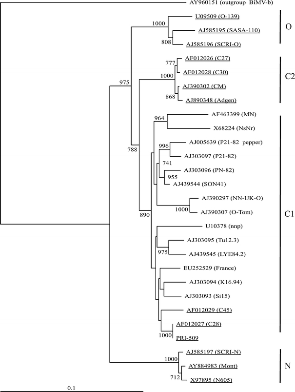 Fig. 1