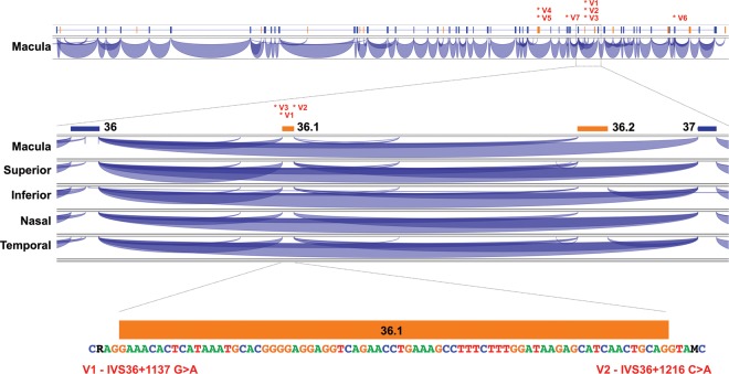 Figure 2.