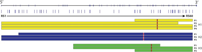 Figure 1.