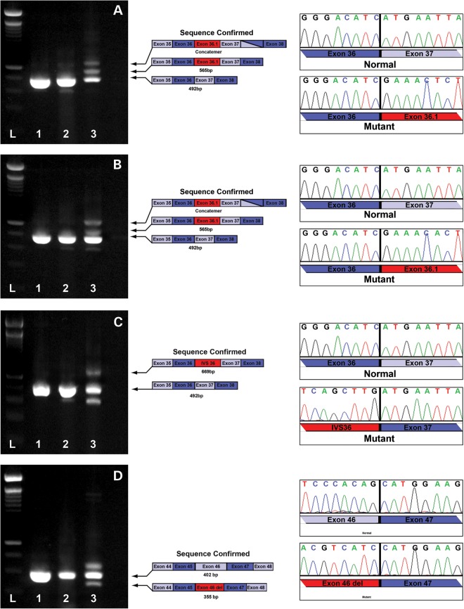 Figure 3.