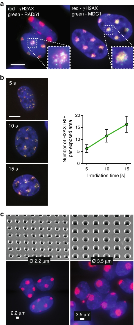 Fig. 2