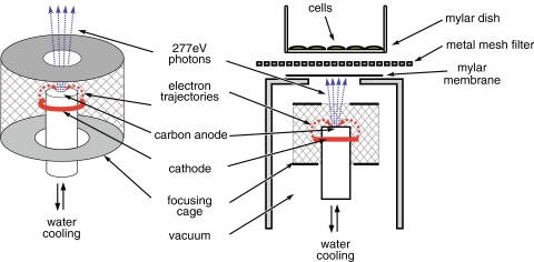 Fig. 1