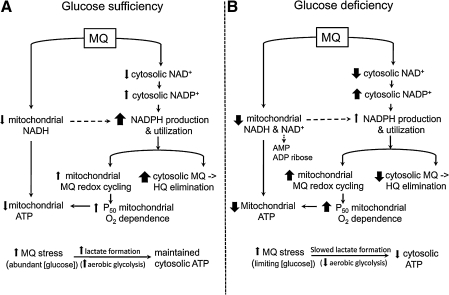 FIG. 7.