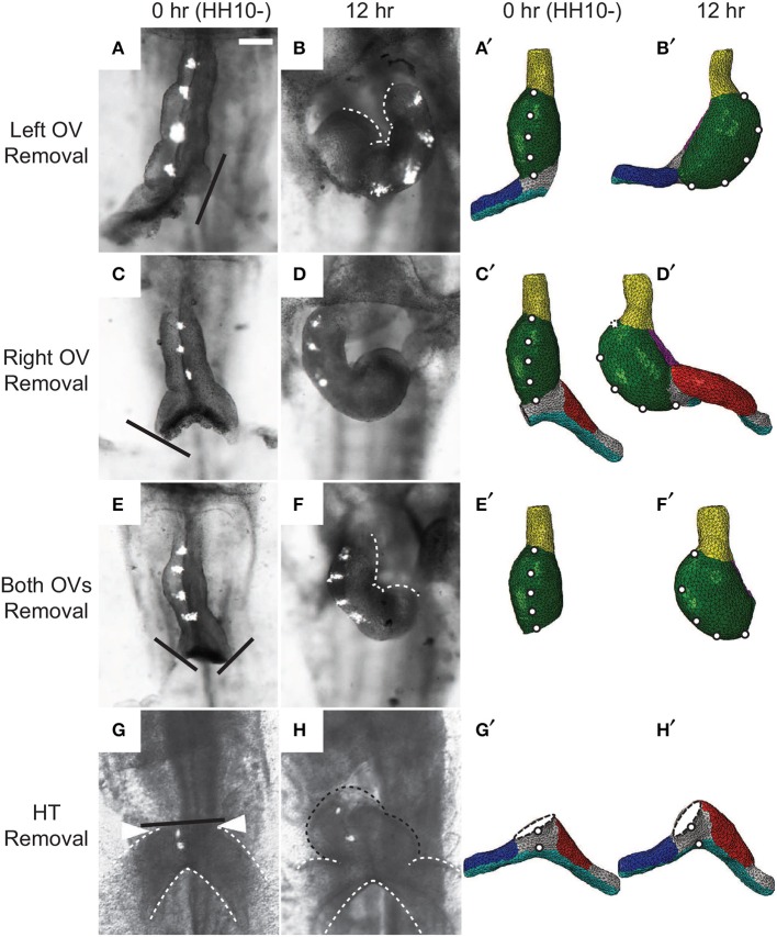 Figure 10