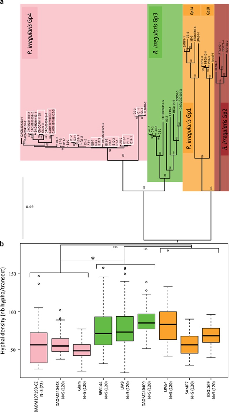 Figure 6