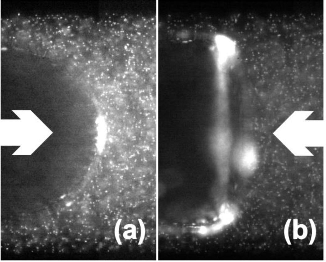 Fig. 10