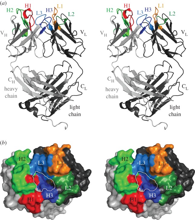 Figure 6.