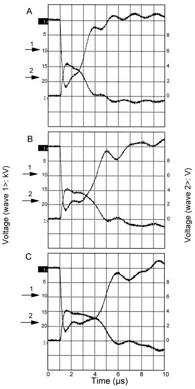 FIG. 1