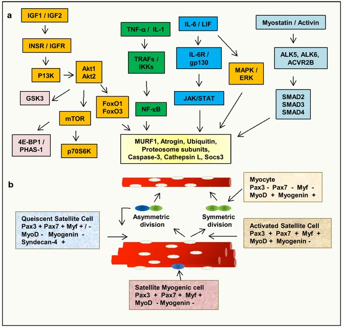 Fig. 4