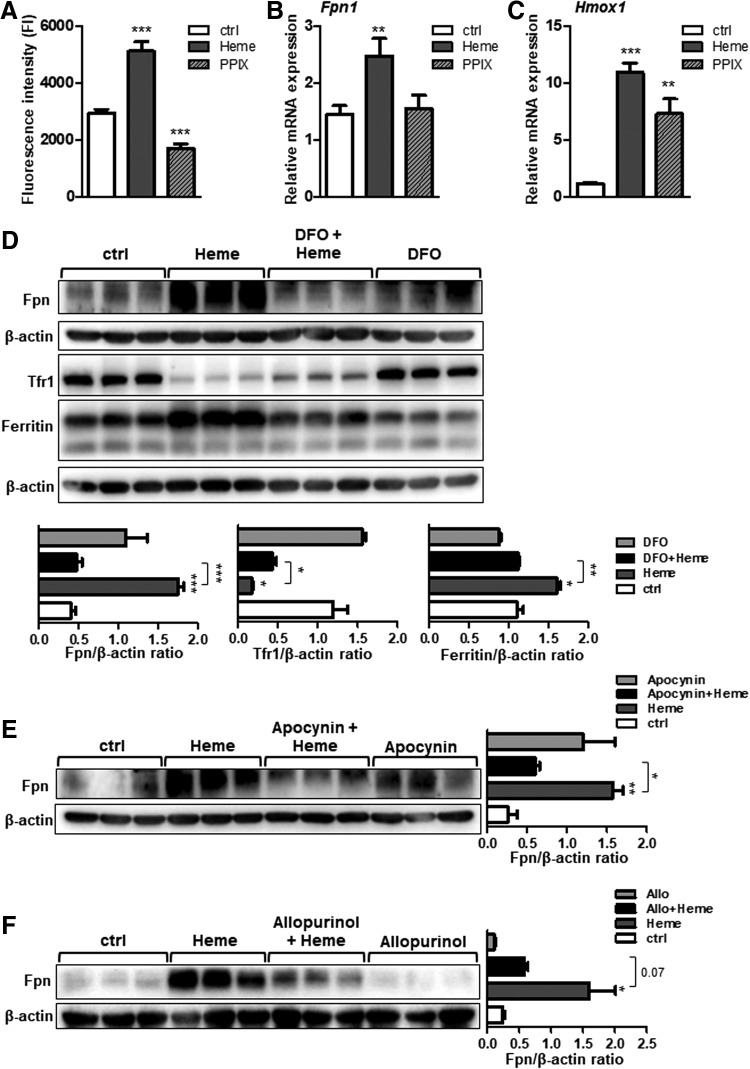 FIG. 7.