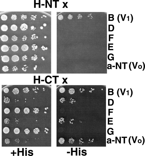 FIGURE 1.