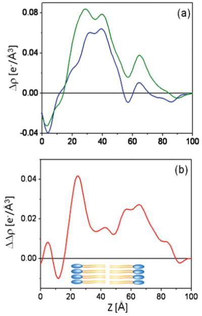 FIG. 10