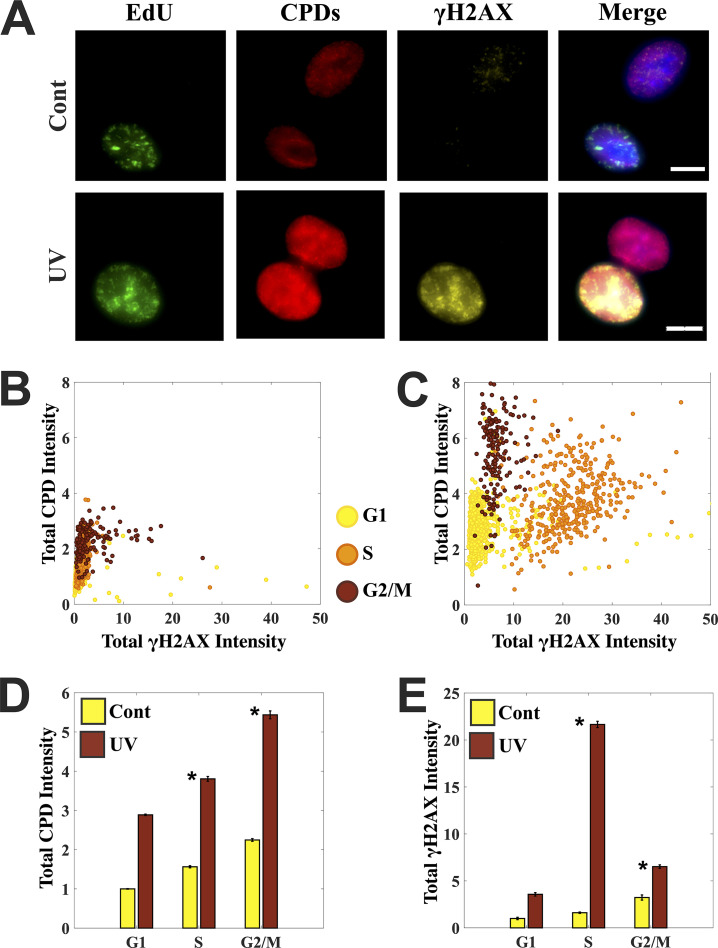 FIG 2