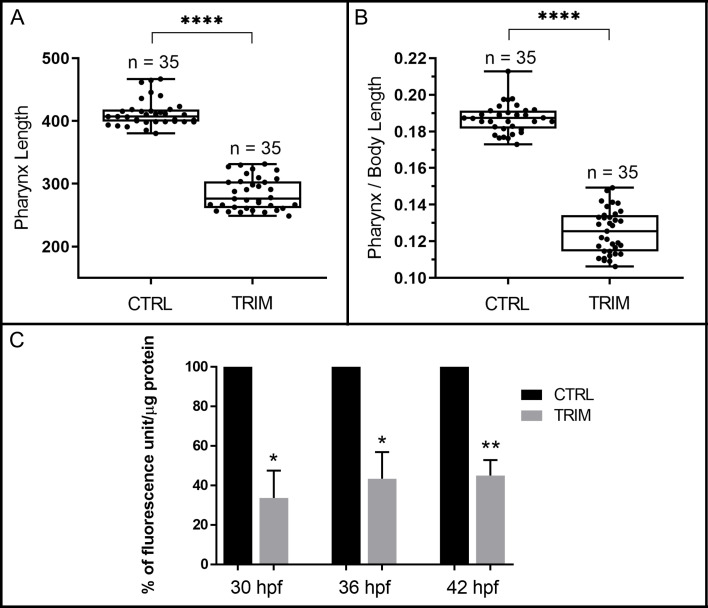 Figure 1—figure supplement 2.