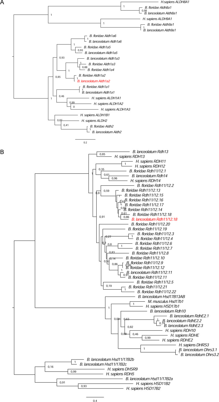 Figure 1—figure supplement 4.