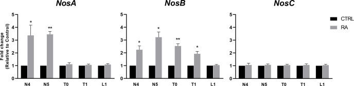 Figure 2—figure supplement 1.