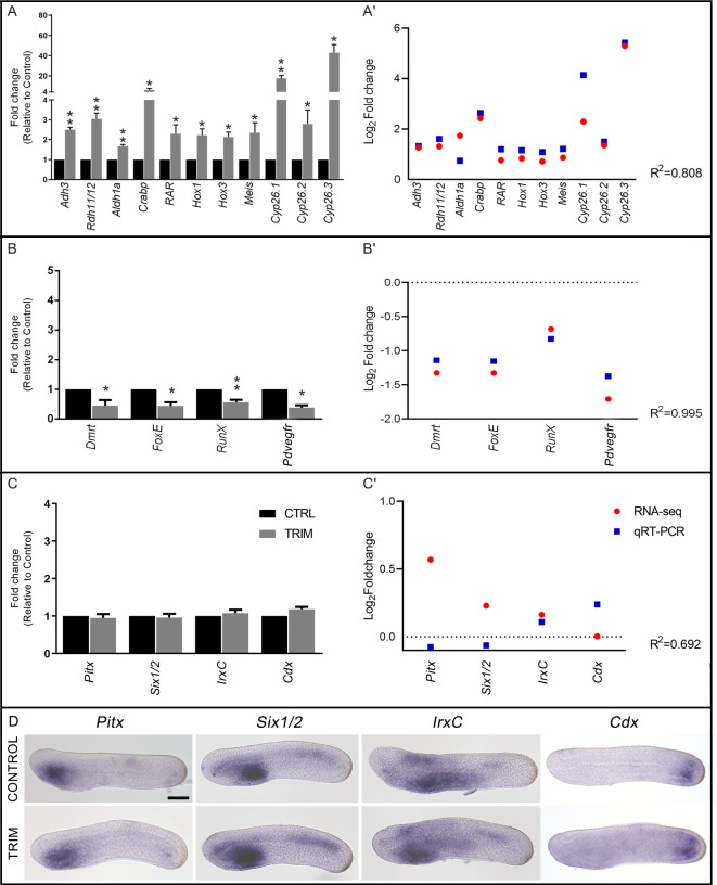 Figure 1—figure supplement 5.