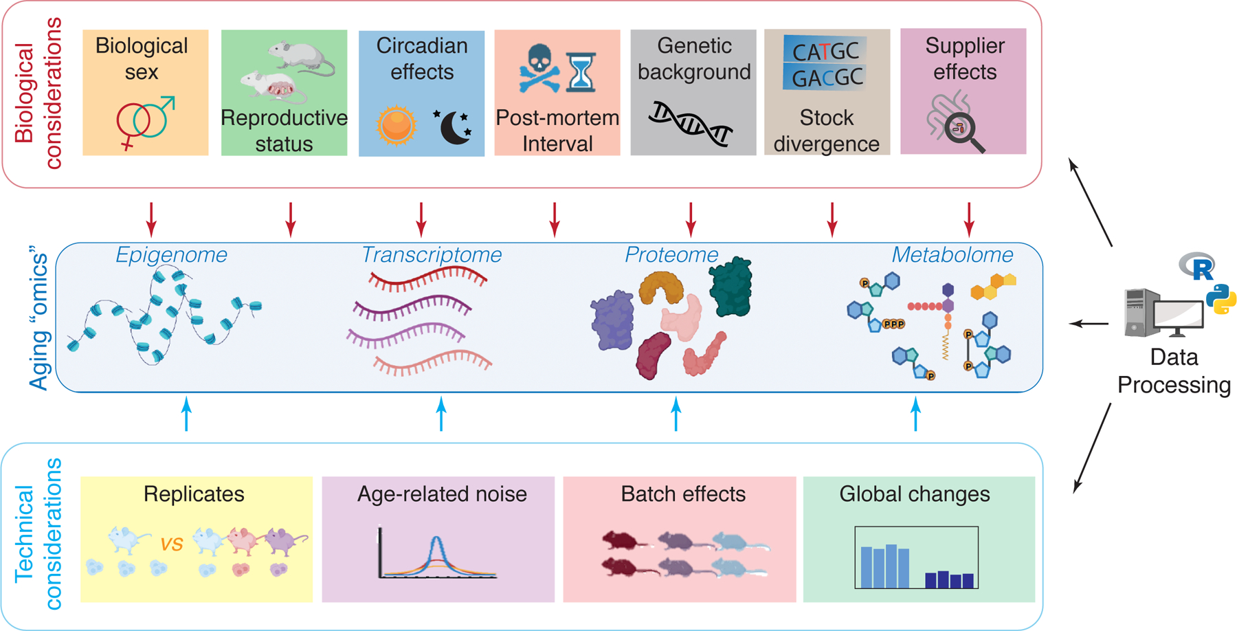 Figure 1: