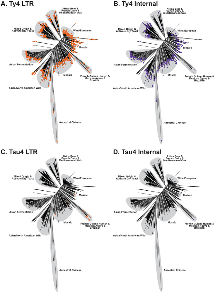 Figure 2: