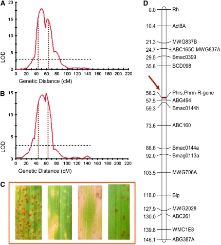 Figure 4.—