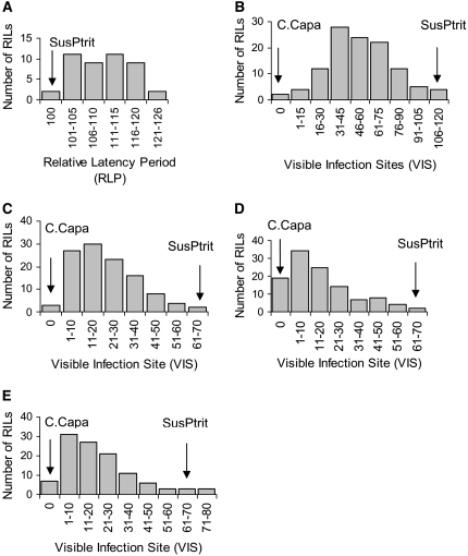 Figure 1.—