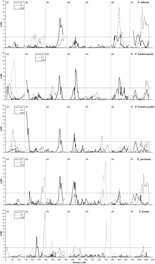 Figure 5.—