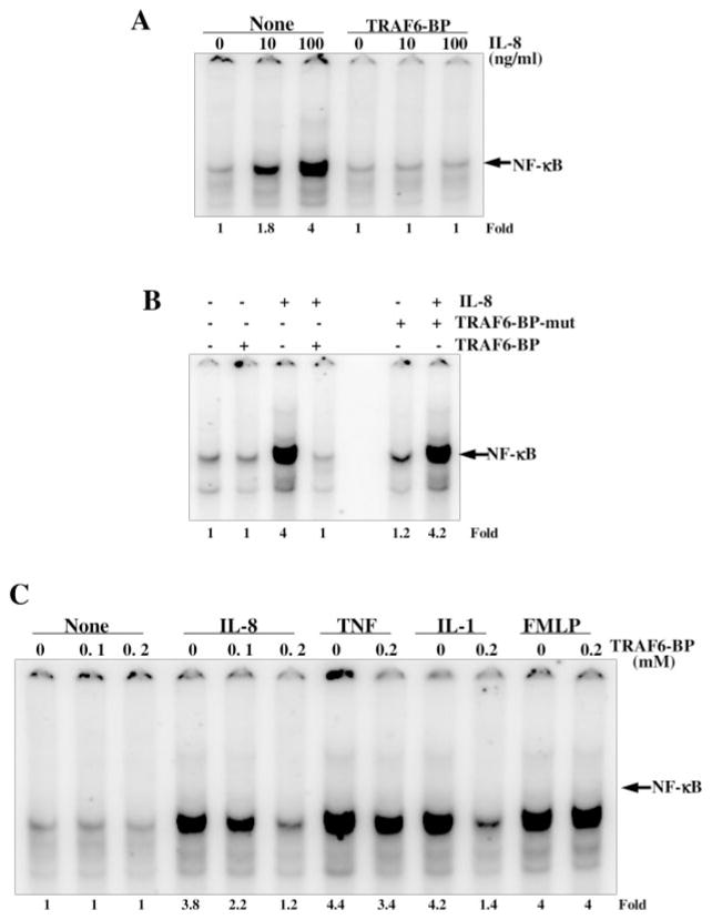 Fig. 9