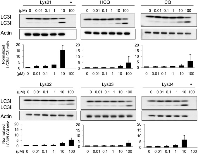 Fig. 2.