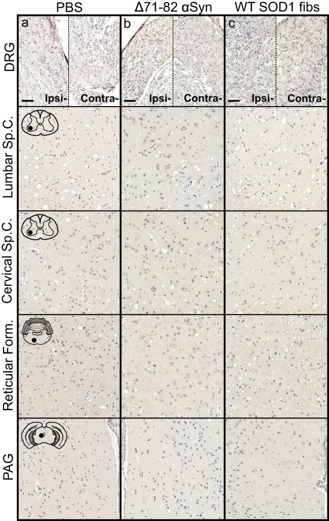 FIG 10