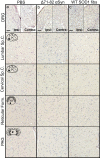FIG 10