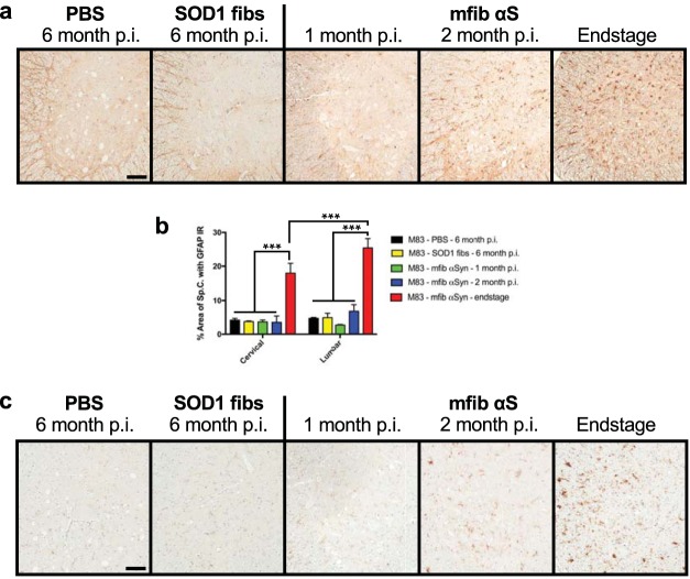 FIG 6