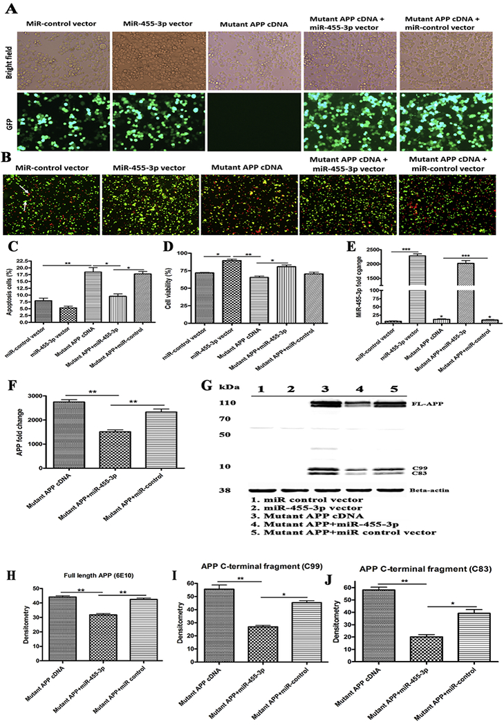 Figure 2 -