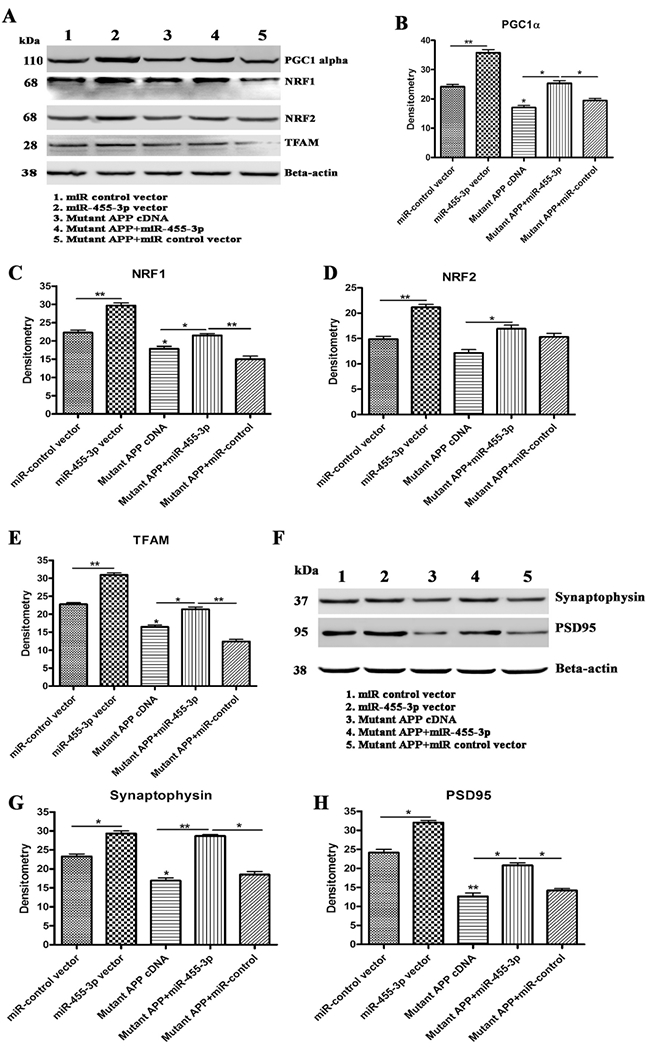 Figure 4 -