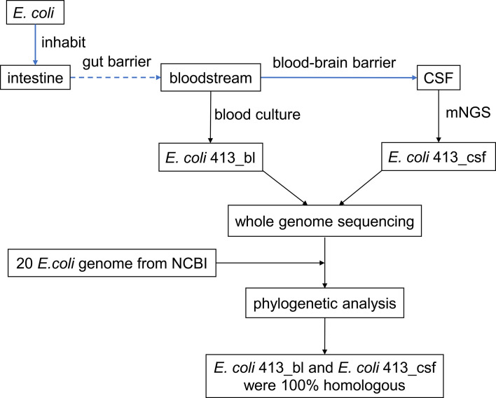 Figure 1