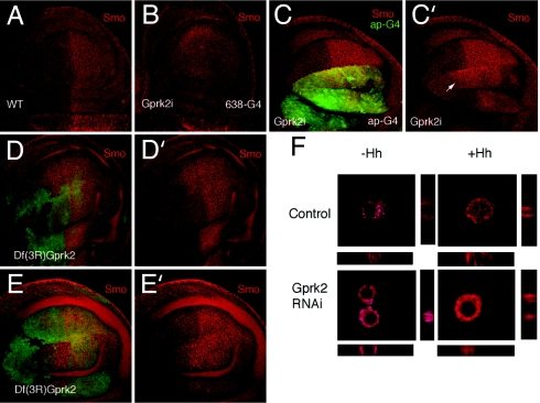 Fig. 4.