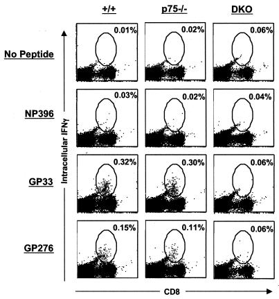 FIG. 9.