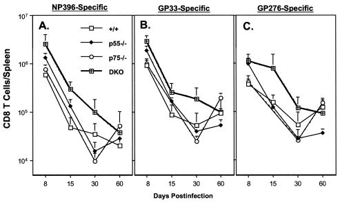 FIG. 8.