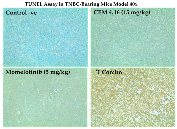 Figure 13