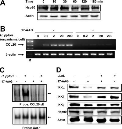 FIG. 8.