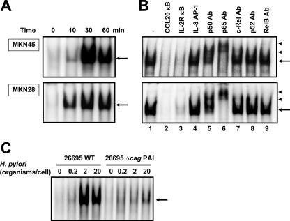 FIG. 6.