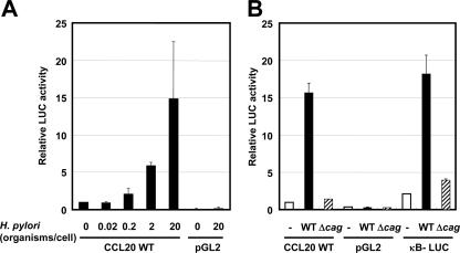 FIG. 4.