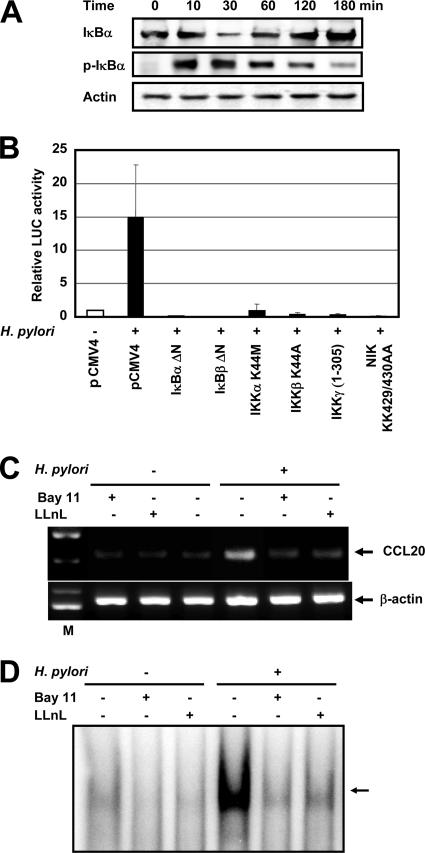 FIG. 7.