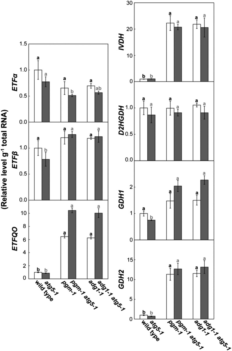 Figure 6.