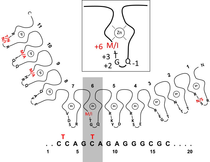 Figure 6.