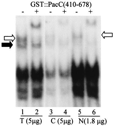 FIG. 10