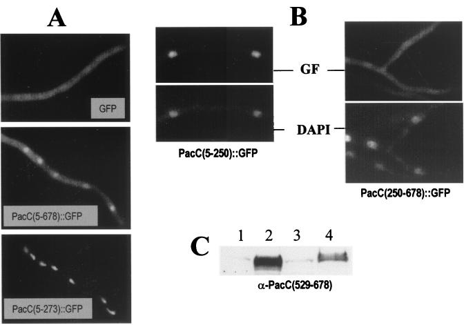 FIG. 5