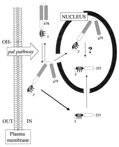 FIG. 11