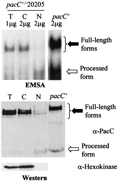 FIG. 9