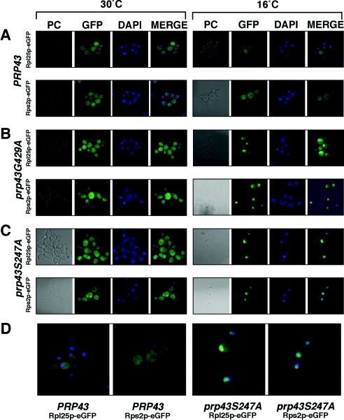 FIG. 4.